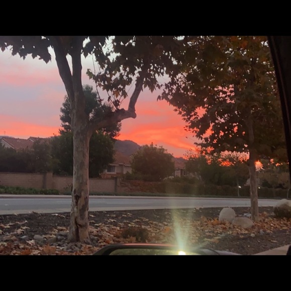 Meet your Posher, Kandy - Picture 1 of 1